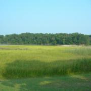 En route pour Jamestown sur les traces de Pocahontas