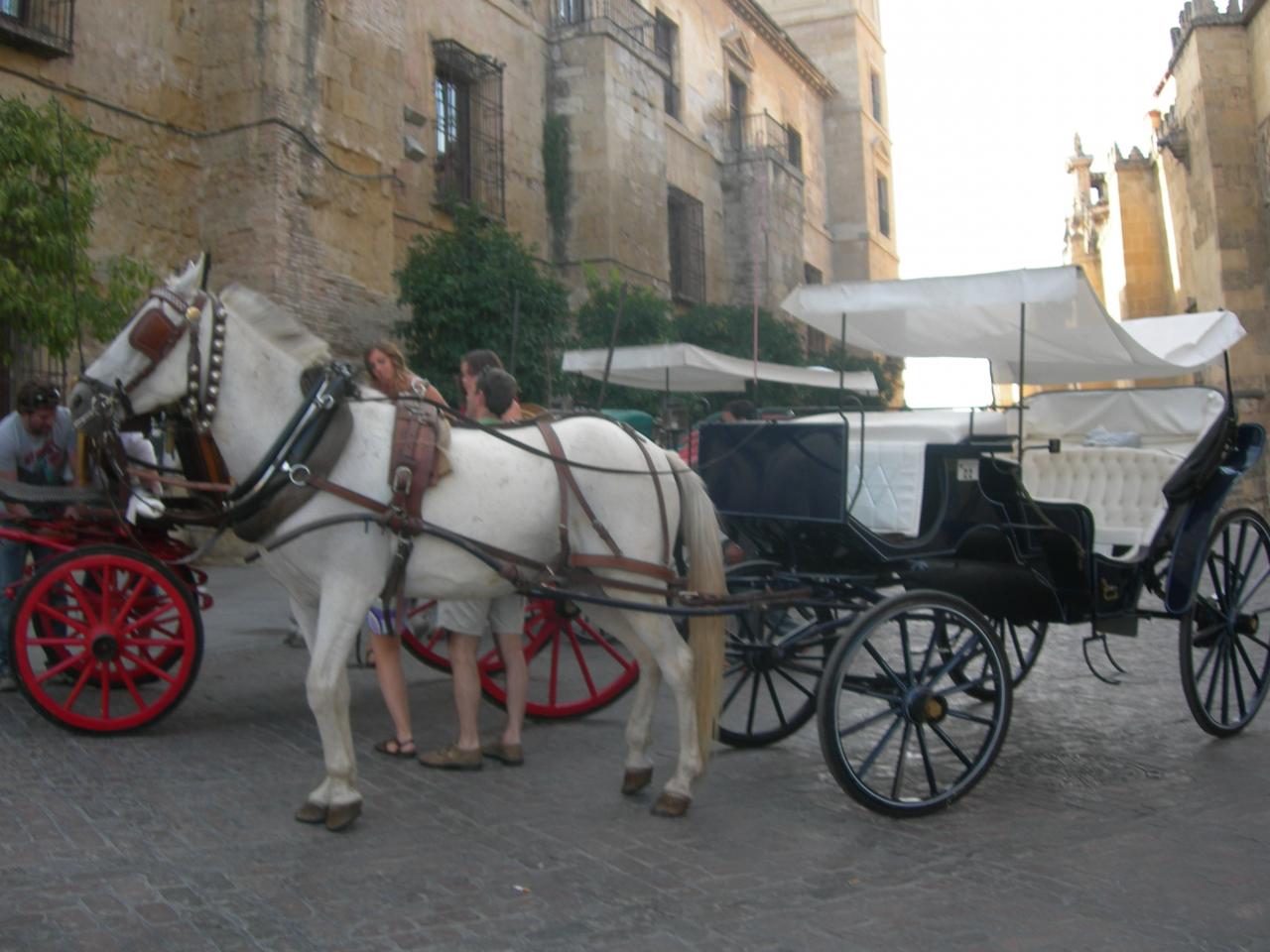 Cordoue