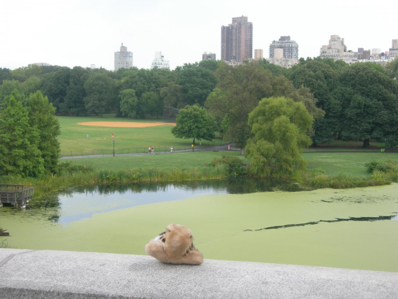 New York