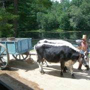 Old Sturbridge