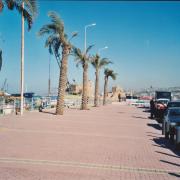 sidon