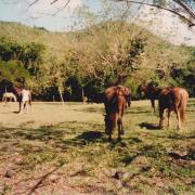 La Martinique